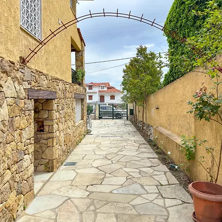 别墅 Olympus Serenity 里托楚伦